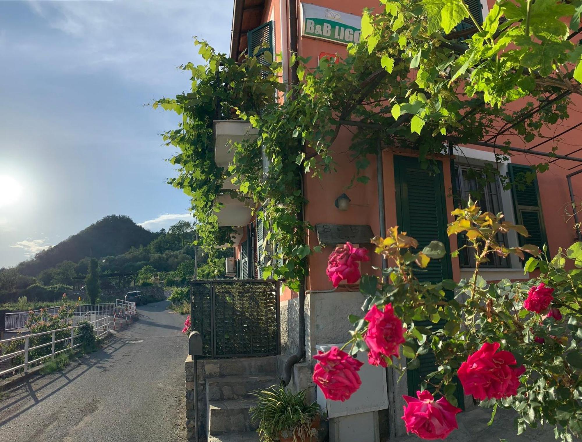 Ligo Bed & Breakfast Villanova d'Albenga Luaran gambar