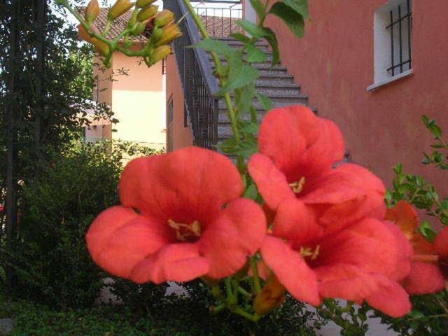 Ligo Bed & Breakfast Villanova d'Albenga Luaran gambar