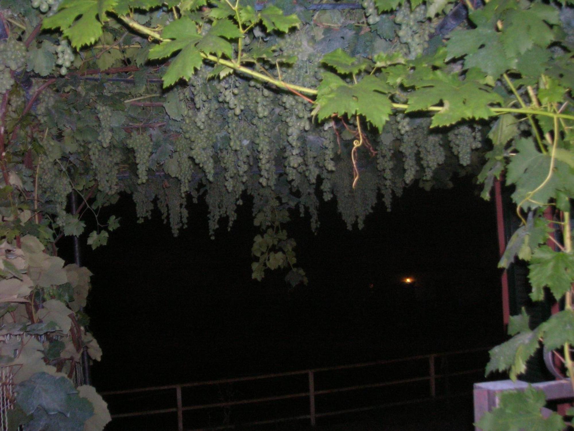 Ligo Bed & Breakfast Villanova d'Albenga Luaran gambar