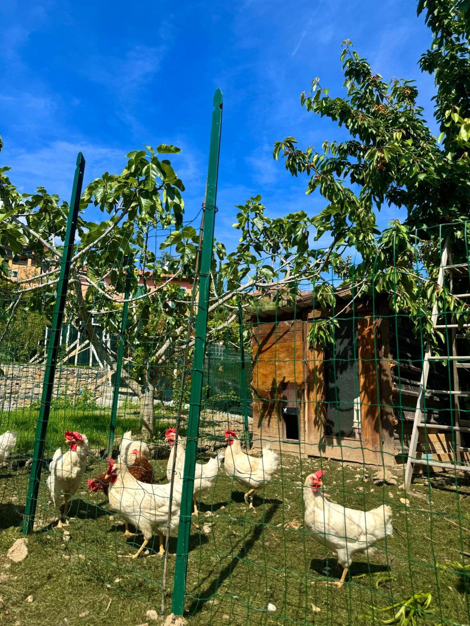 Ligo Bed & Breakfast Villanova d'Albenga Luaran gambar