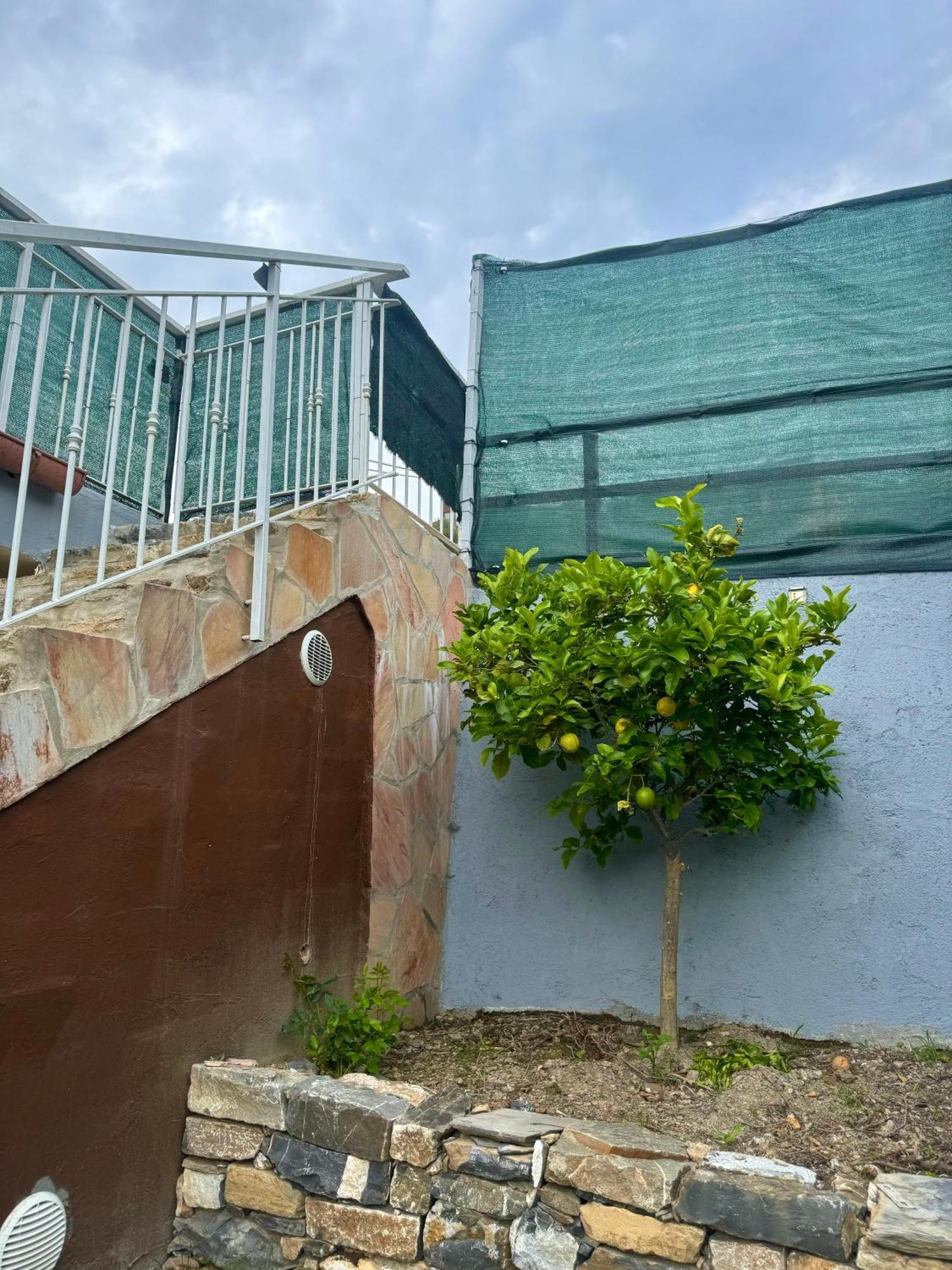 Ligo Bed & Breakfast Villanova d'Albenga Luaran gambar