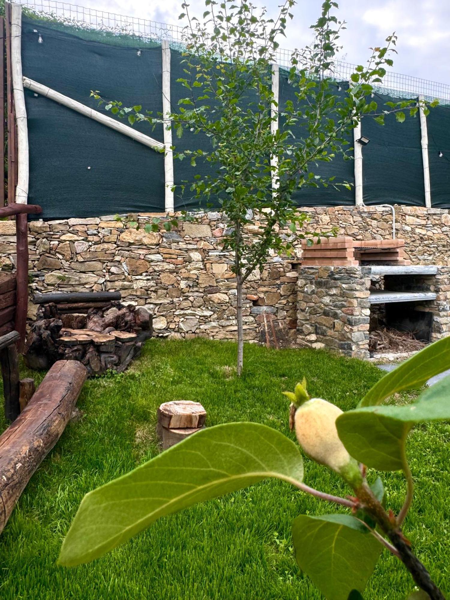 Ligo Bed & Breakfast Villanova d'Albenga Luaran gambar